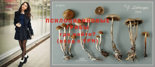 спайс Коряжма