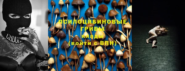 кокс Корсаков